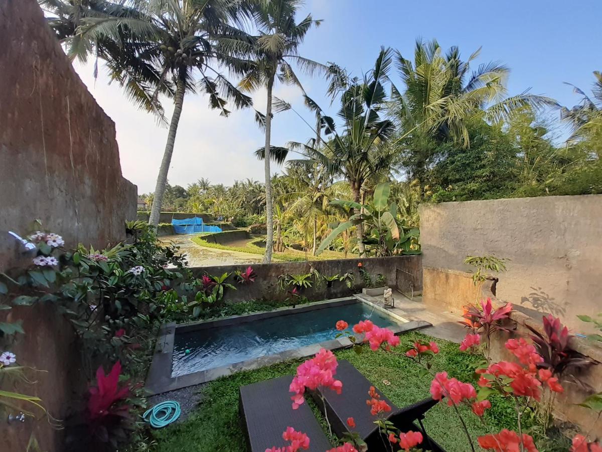 Hidden Point Villa Убуд Экстерьер фото